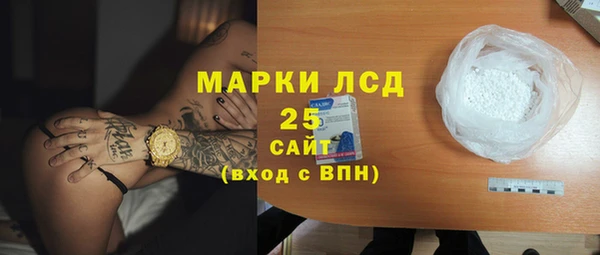 spice Аркадак