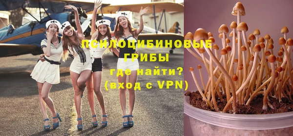 spice Аркадак