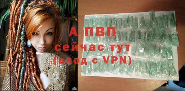 spice Аркадак