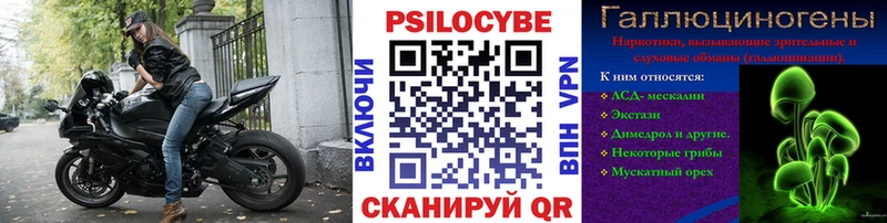 darknet Telegram  Тогучин  Псилоцибиновые грибы ЛСД 