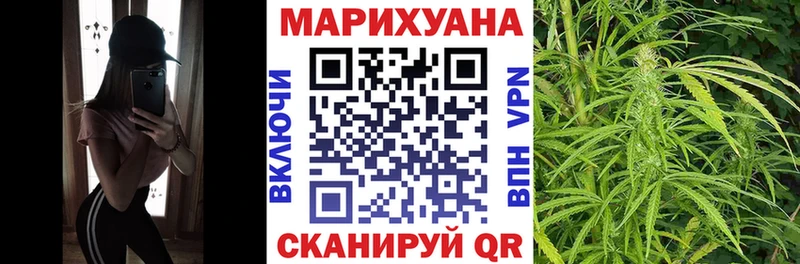 Каннабис SATIVA & INDICA  Тогучин 